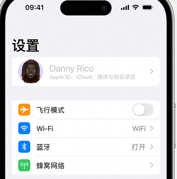 石碌镇appleID维修服务iPhone设置中Apple ID显示为灰色无法使用 