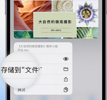 石碌镇apple维修中心分享iPhone文件应用中存储和找到下载文件