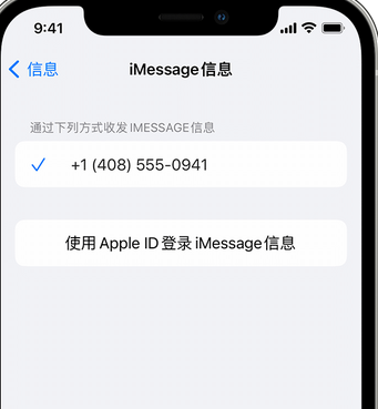 石碌镇apple维修iPhone上无法正常发送iMessage信息