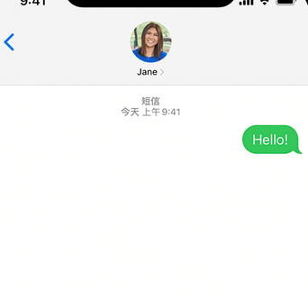 石碌镇apple维修iPhone上无法正常发送iMessage信息