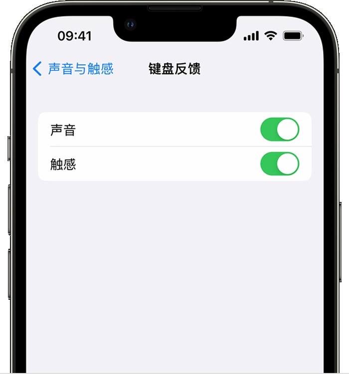 石碌镇苹果14维修店分享如何在 iPhone 14 机型中使用触感键盘 