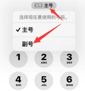 石碌镇苹果14维修店分享iPhone 14 Pro Max使用副卡打电话的方法 