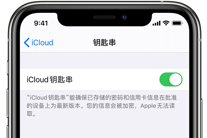 石碌镇苹果手机维修分享在 iPhone 上开启 iCloud 钥匙串之后会储存哪些信息 