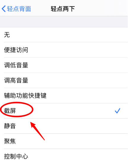 石碌镇苹果手机维修分享iPhone12如何启用双击截屏 